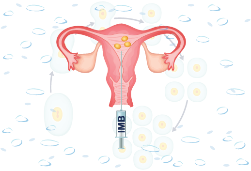 in vitro fertilization centre